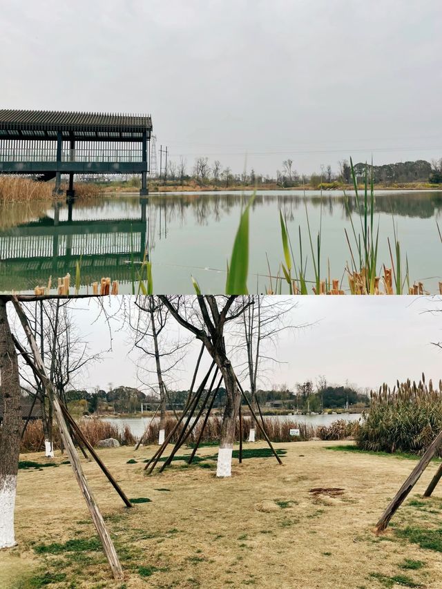成都市區值得N刷的免費小眾寶藏露營地