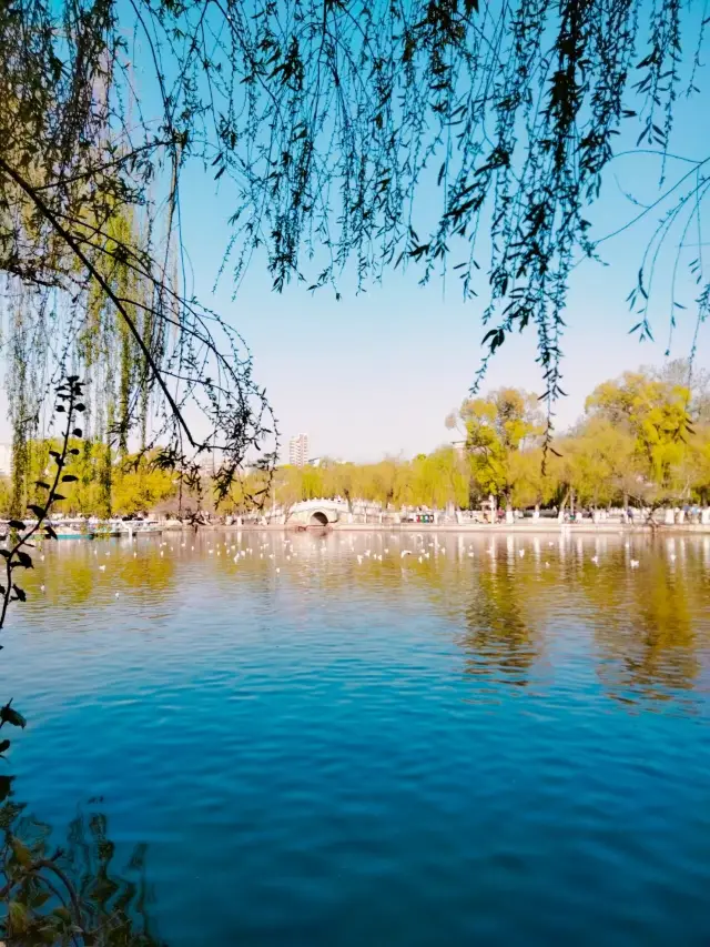 Kunming's first fully open park—Cuihu Park