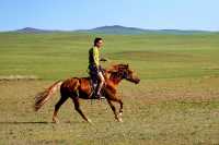 鐵血征途——5月蒙古國狩獵 | 狼｜鹿｜獾等
