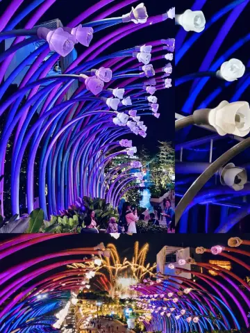 聽勸，去新加坡旅遊一定要去逛這個新景點