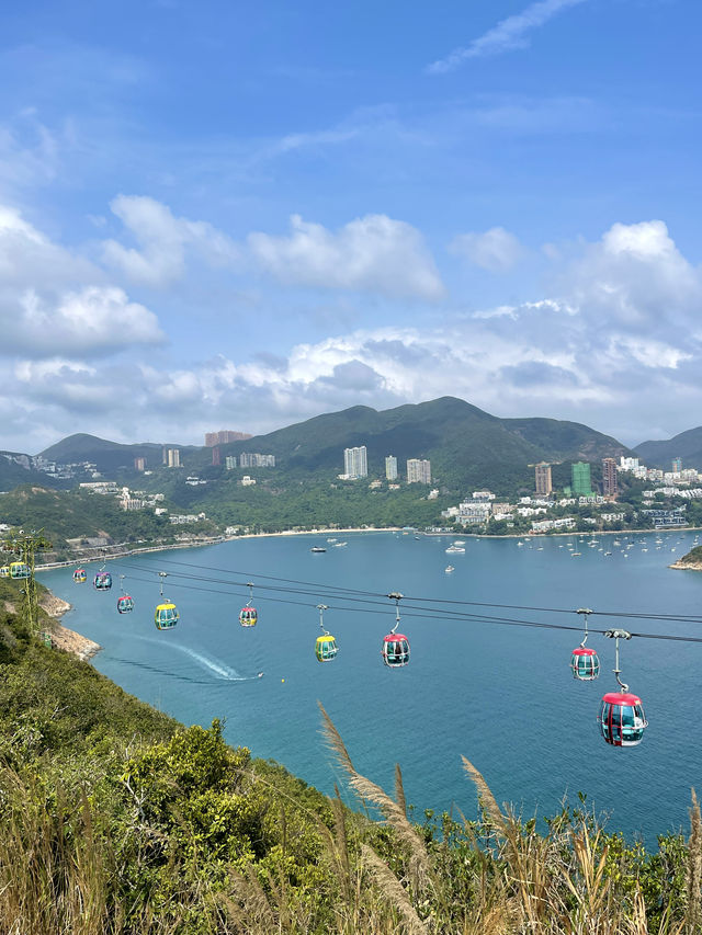 絲滑的香港海洋公園攻略，春日奇妙之旅開啟