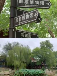 聊城有竹有樹有亭的綺園