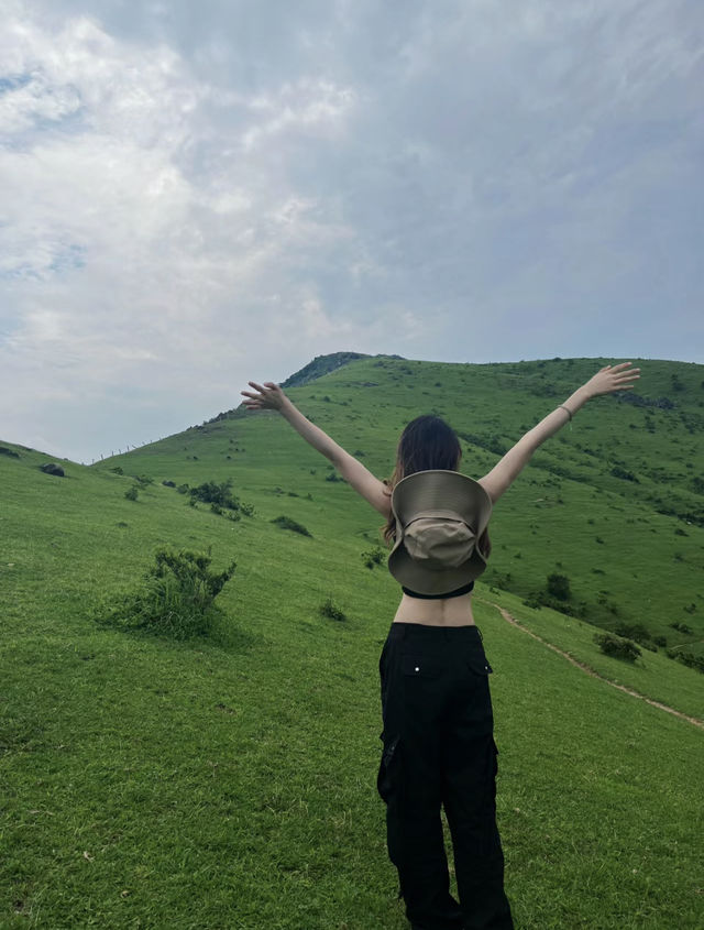 大姆山草場