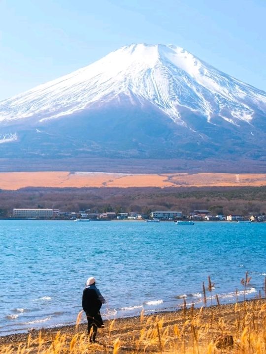 Fuji Mountain Cherry Appreciation Japan 🇯🇵