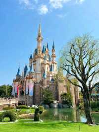 Dreamy Tokyo Disneyland Truly Amazing🇯🇵❤️