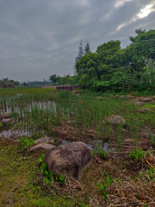 江西南昌 象湖濕地公園 洗肺絕佳地