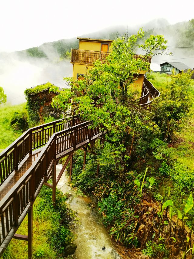 雲霧飄渺 仙氣十足 最美憶宿民宿