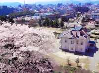 Ruins and Sakura Bloom