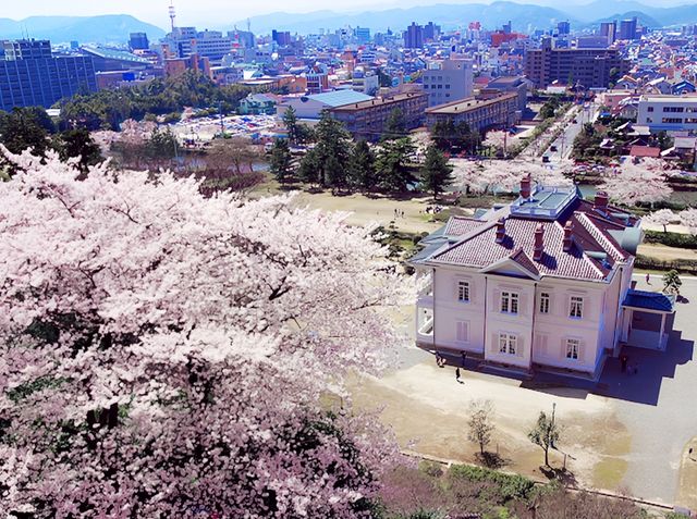 Ruins and Sakura Bloom