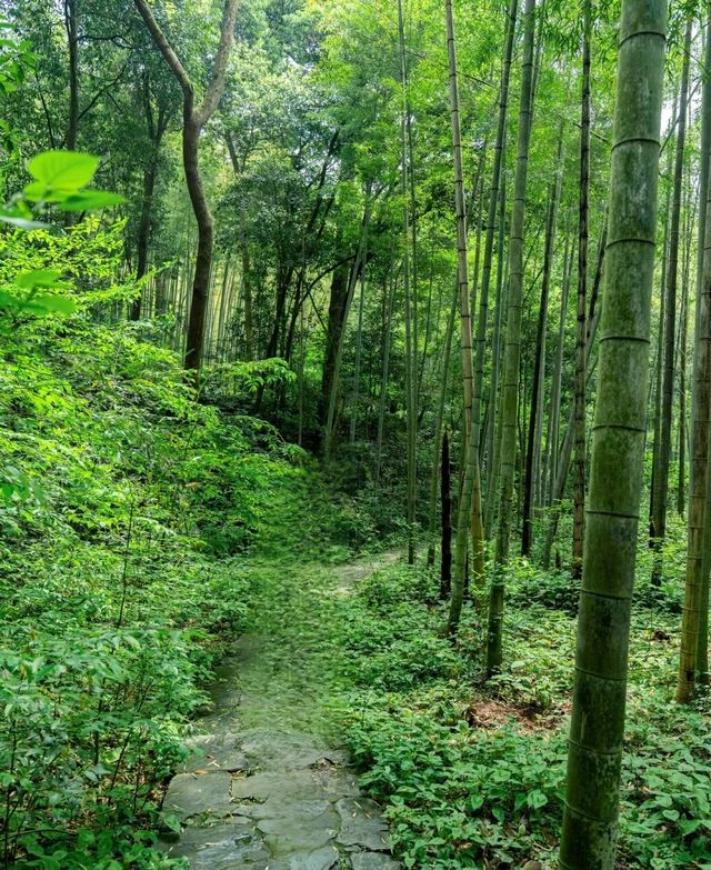 雲棲竹徑