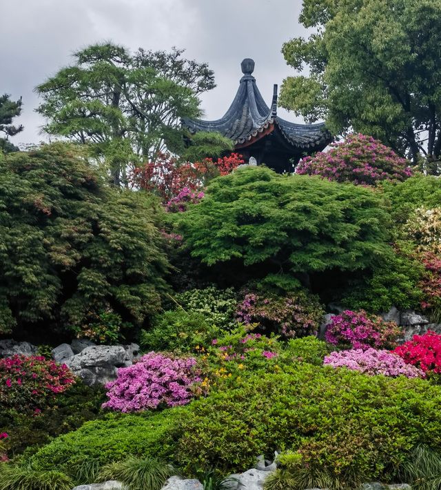 上海老姐姐的拍照聖地——申園