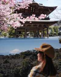 寶藏且小眾，北鎌倉兩座可以看到富士山的宋製古寺