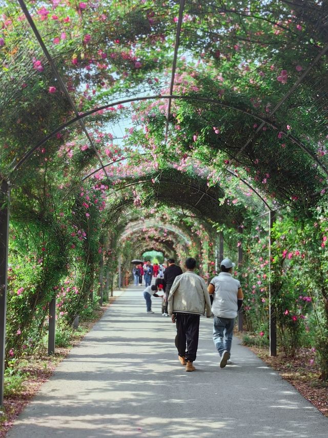 上海這個郊野公園娛樂項目真的太多啦