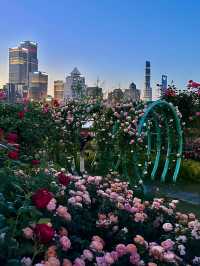 上海已經next level，薔薇花海美到不真實！