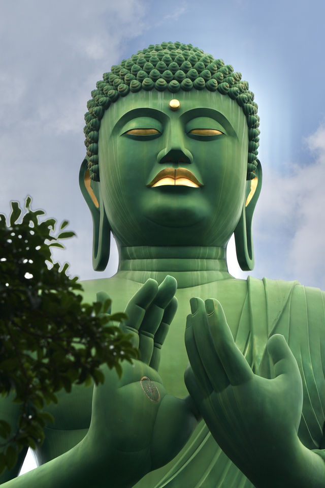 這恐怕是全球最綠色的大佛了吧