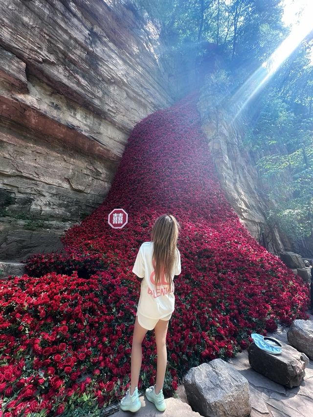 520通往愛情山的任意門