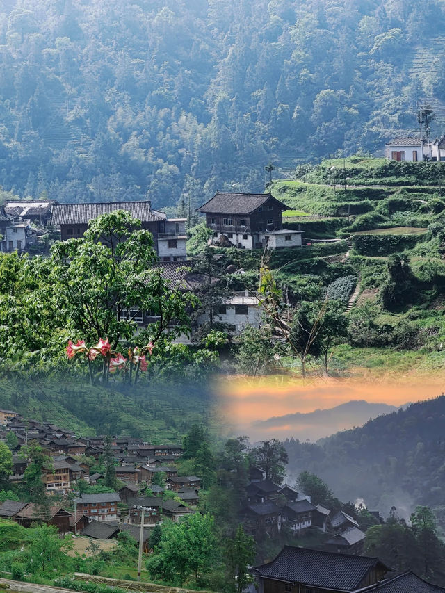 雀鳥村，一個古樸寧靜的苗寨