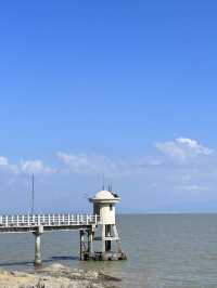 珠海淇澳島攻略