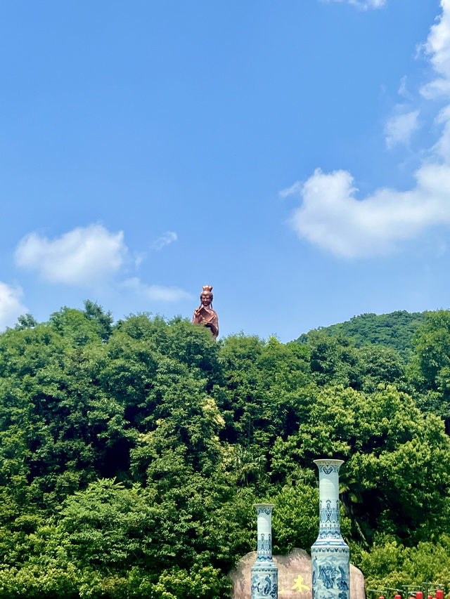 purple坠入紫色梦境  夏日薰衣草花海～