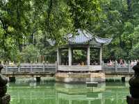 山雨綿綿，禪行南華寺