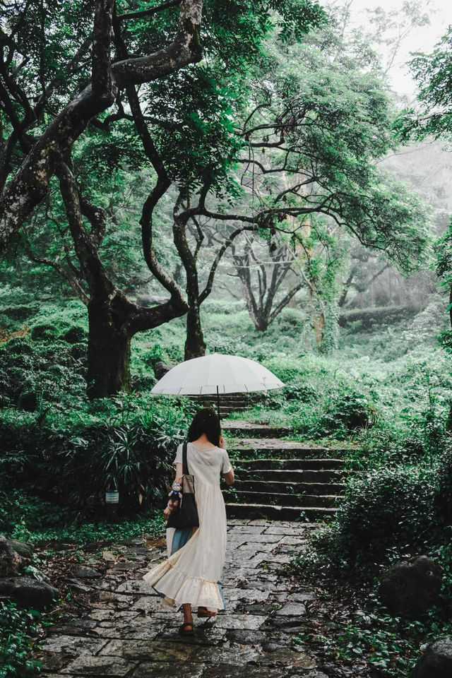 廣州夏日拍照·在廣州發現塞爾達森林，太出片啦！！