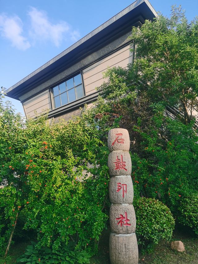 在太陽市遛彎 在太陽市遛彎