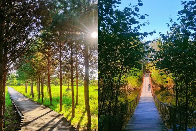 漠河旅遊季節