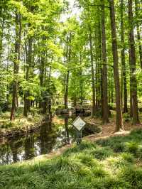 上海中山公園
