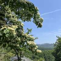 本溪青雲山！就在離市區不遠處！方便！美！