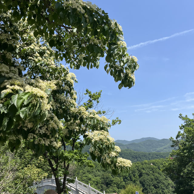本溪青雲山！就在離市區不遠處！方便！美！