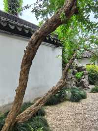蘇州曲園