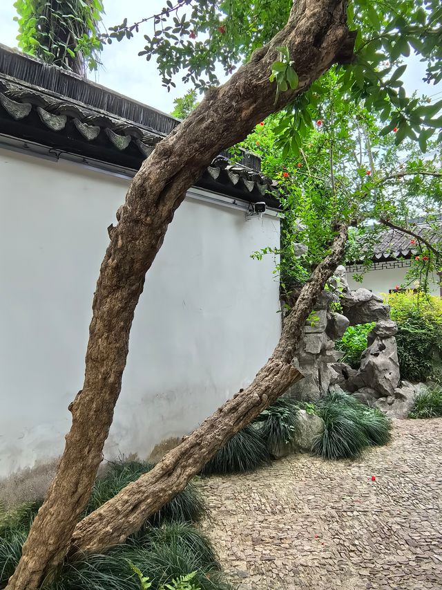 蘇州曲園