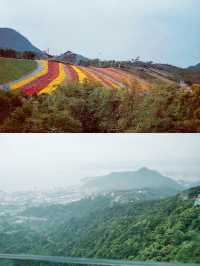 夏天來深圳東部華僑城避暑納涼吧