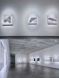 到美術館納涼去｜深圳這裡逛展小眾又出片