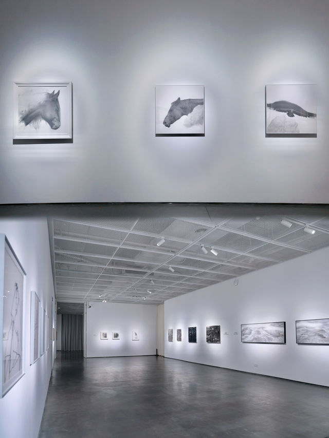 到美術館納涼去｜深圳這裡逛展小眾又出片