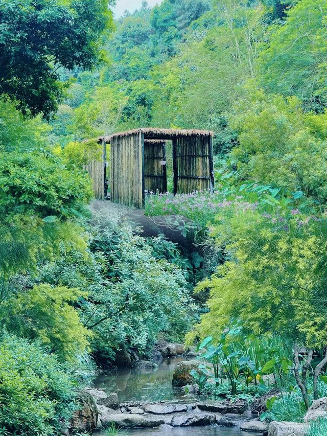 逃離喧囂，擁抱自然：南寧高峰森林公園的完美一日遊