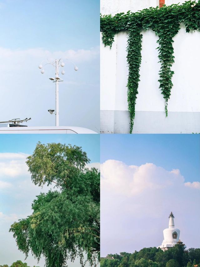 北京最強能量場——北海公園超全遊玩指南