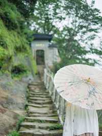 武夷山清涼去處|夏日進山探幽烹茶，漫遊茶谷