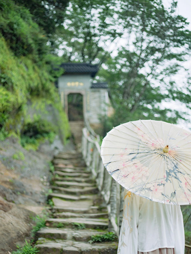 武夷山清涼去處|夏日進山探幽烹茶，漫遊茶谷