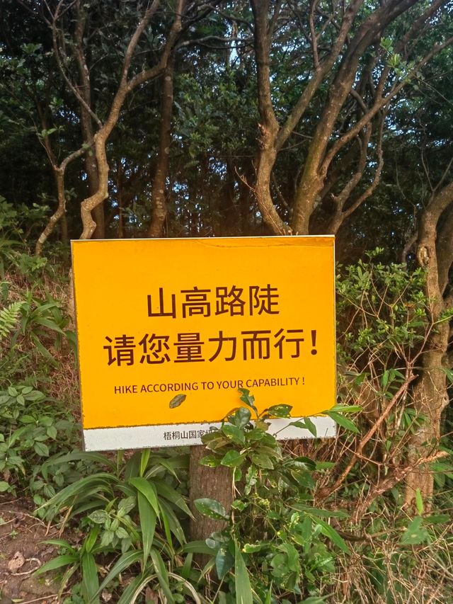 鐵直達深圳梧桐山！去爬山看這篇就夠啦|||
