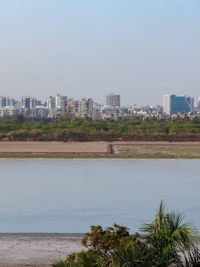 🌟 Surat's Serene Stay: Marriott Magic ✨