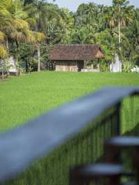🌴🛏️ Ubud's Hidden Gem: Adiwana Bisma 🌄🌿
