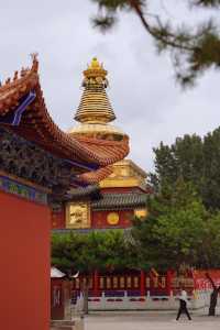 哪家寺院拍照強？通遼大樂林寺必榜上有名！