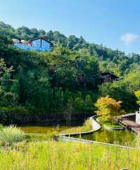 銅鑼壩國家森林公園