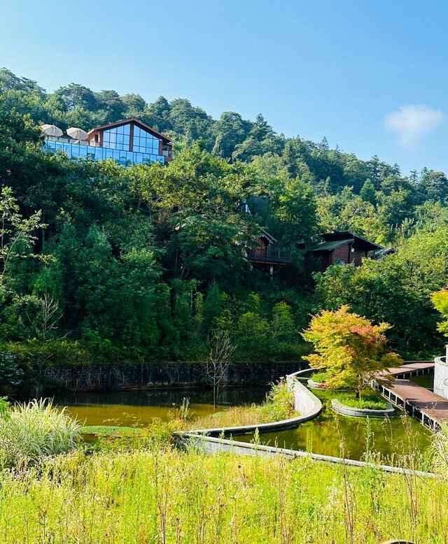 銅鑼壩國家森林公園