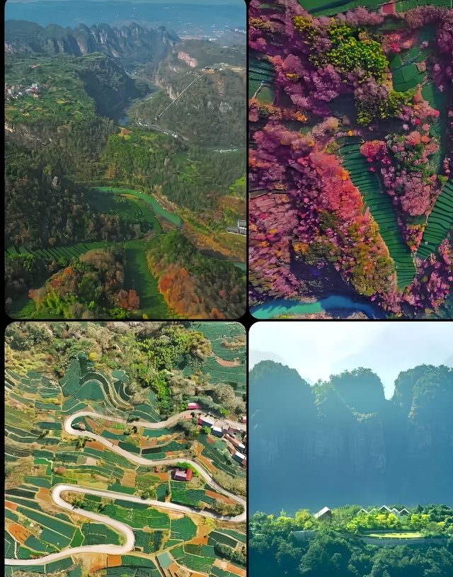 江浙滬量抓住暑假的尾巴之~新昌旅遊攻略