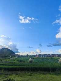 陽光明媚