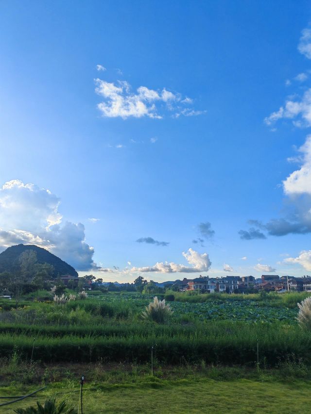 陽光明媚
