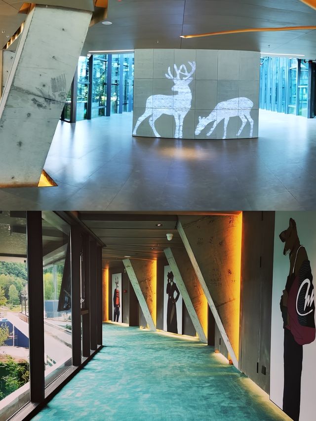 長白山夏日之旅：與大自然浪漫邂逅。