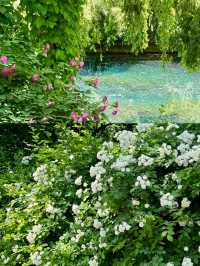 濟南現實版莫奈花園:綠意盎然的花園之城。